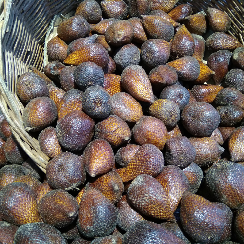 Exploring Indonesia’s Potential in Tropical Fruit Exports