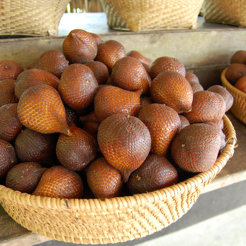 How to Maintain Freshness During Fruit Export