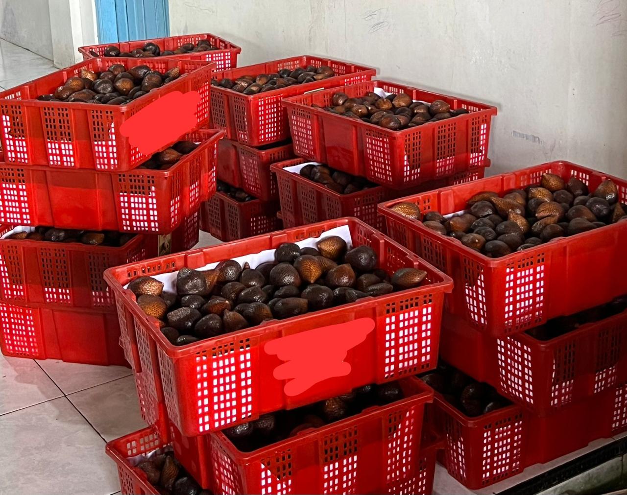 Standard export packing