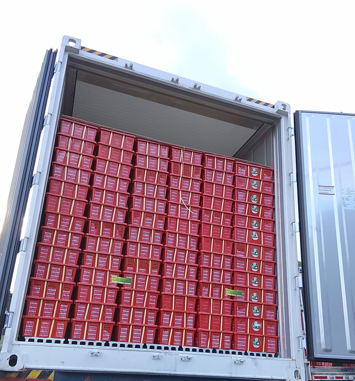 process of loading salak into containers