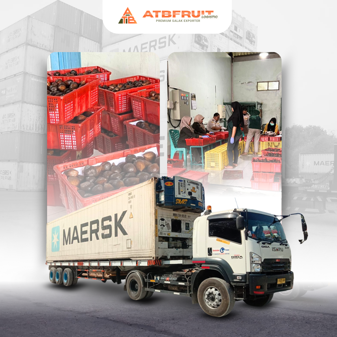 Contact us now, or choose another option.